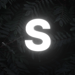 Discord Server